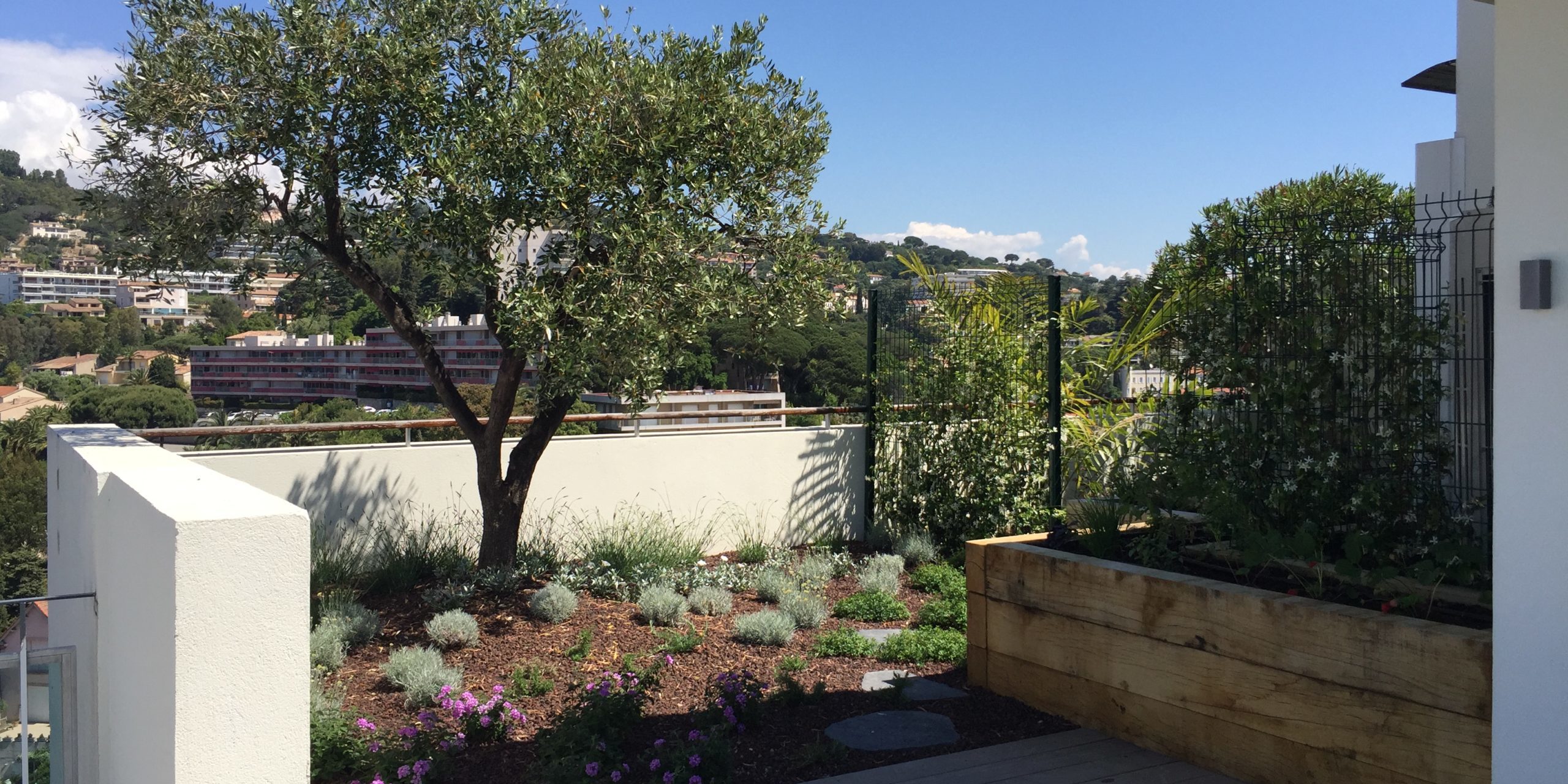 Martin Martin paysages – toit terassse-IMG_8375 Martin Martin paysages – toit terassse