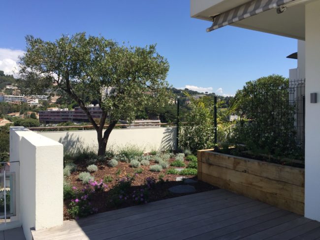 Martin Martin paysages – toit terassse